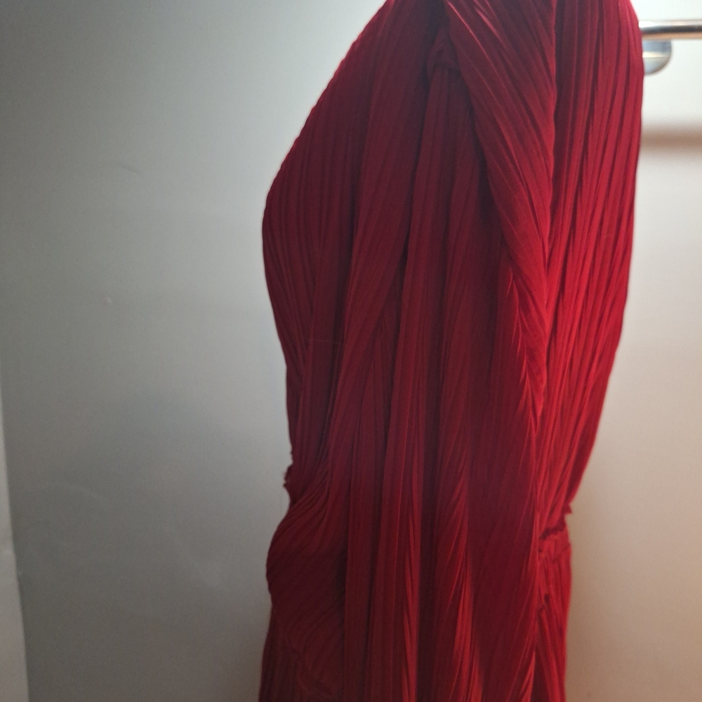 Zara Elegant Scarlet Long Sleeve Dress - Picture 2 of 4